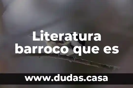 Literatura barroco que es