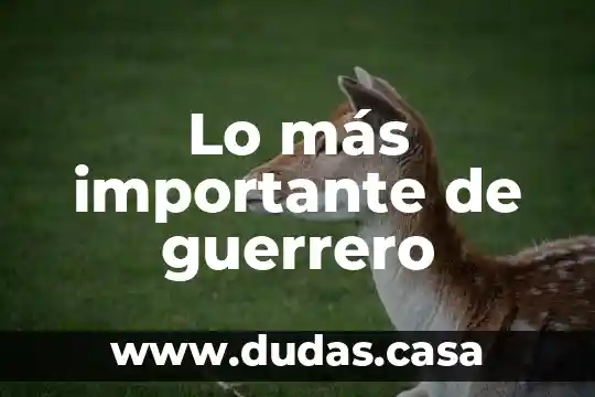 Lo más importante de guerrero