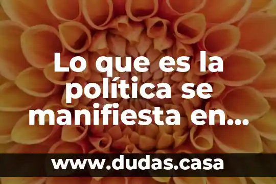 Lo que es la política se manifiesta en los hechos