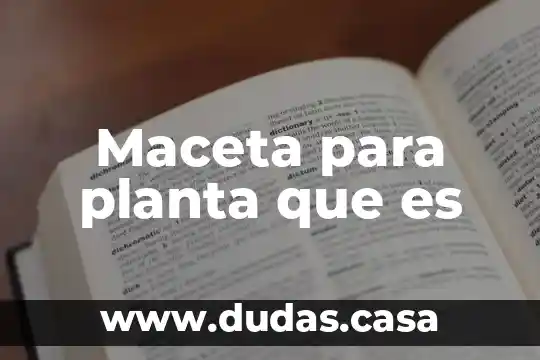 Maceta para planta que es