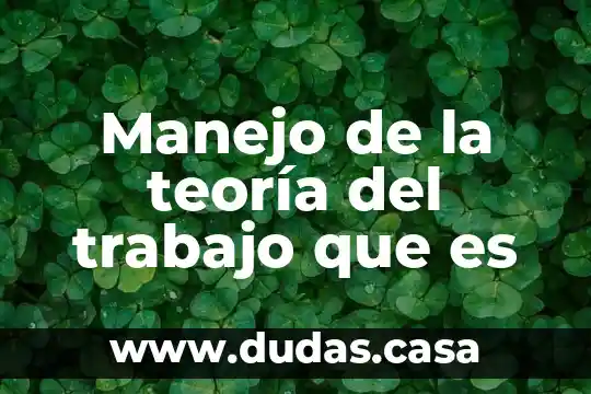 Manejo de la teoría del trabajo que es