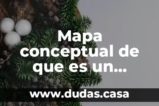 Mapa conceptual de que es un problema
