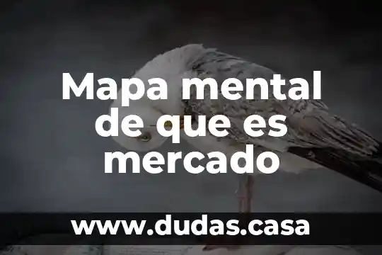 Mapa mental de que es mercado