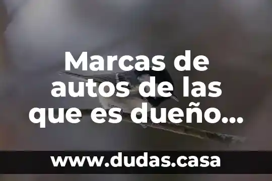 Que es la nissan objetivo 6 Marcas de autos de las que es dueño Nissan