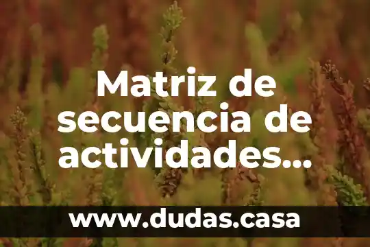 Matriz de secuencia de actividades que es
