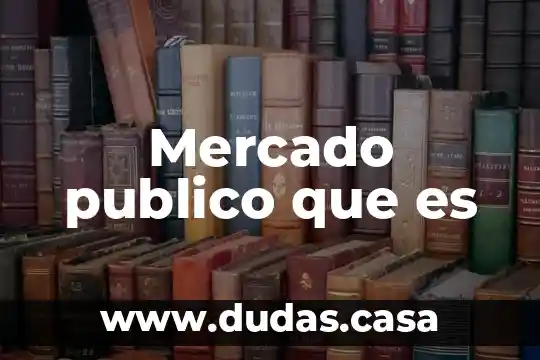 Mercado publico que es