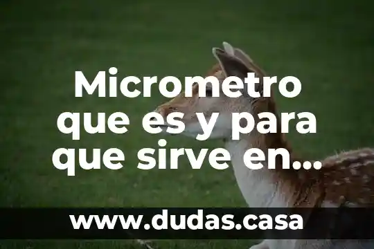 Micrometro que es y para que sirve en microscopio