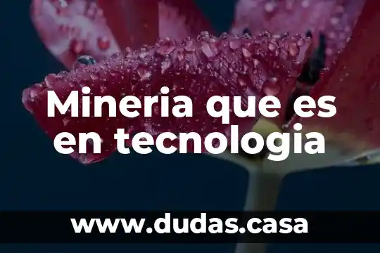 Mineria que es en tecnologia