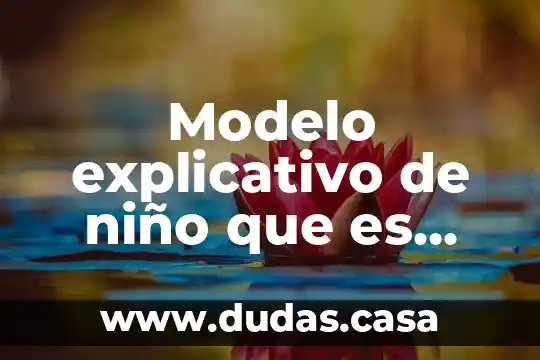 Modelo explicativo de niño que es víctima de bullying