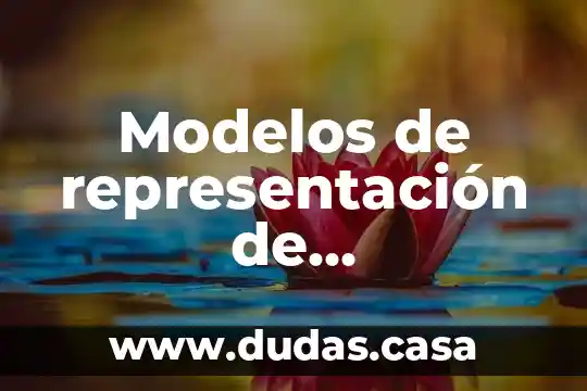 Modelos de representación de conocimiento que es