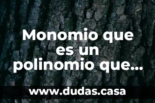 Monomio que es un polinomio que se llama terminos semejantes
