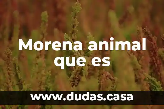 Morena animal que es