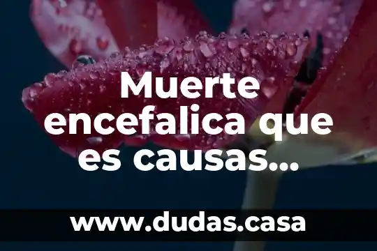 Muerte encefalica que es causas diagnostico y fisiopatologia