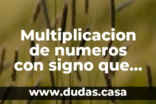 Multiplicacion de numeros con signo que es
