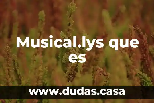 Musical.lys que es