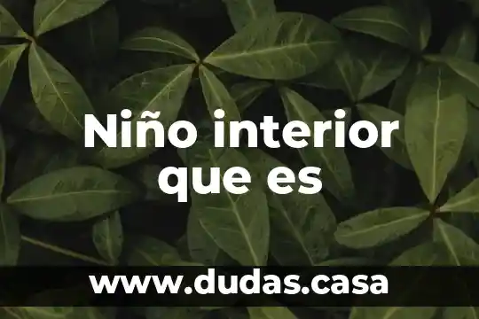 Niño interior que es
