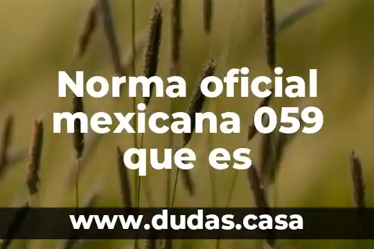 Norma oficial mexicana 059 que es