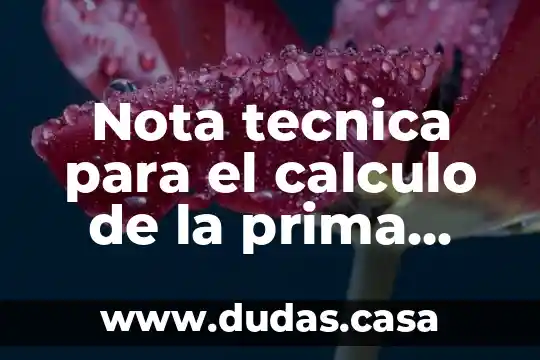 Nota tecnica para el calculo de la prima que es