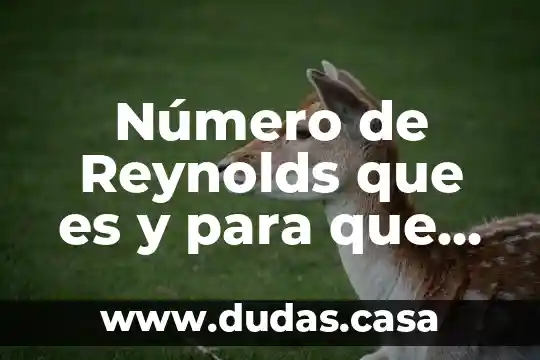 Número de Reynolds que es y para que sirve