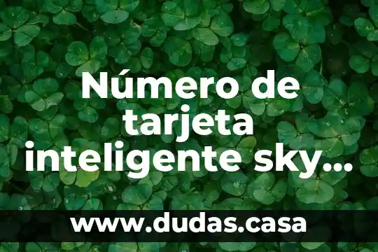 Número de tarjeta inteligente sky que es