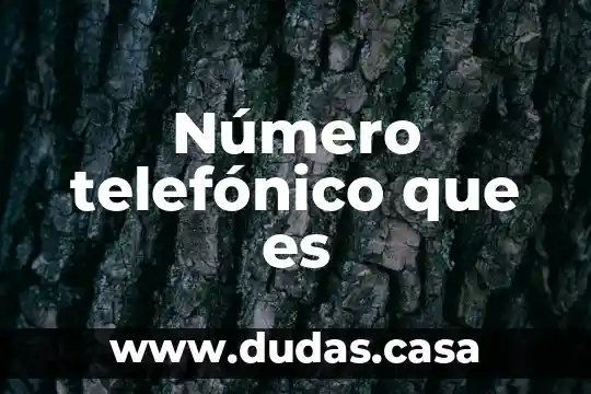 Número telefónico que es