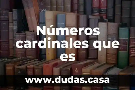 Números cardinales que es