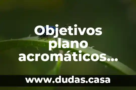 Objetivos plano acromáticos que es