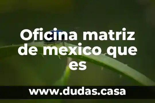 Oficina matriz de mexico que es
