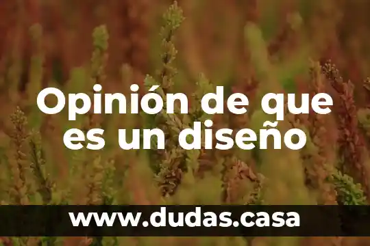 Opinión de que es un diseño