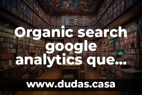 Organic search google analytics que es