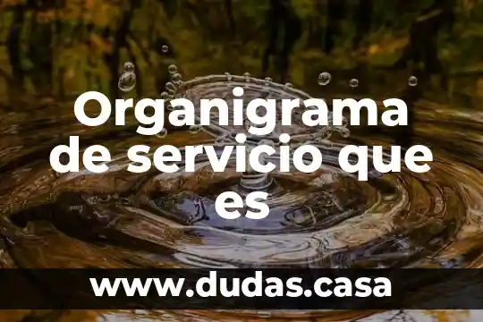 Organigrama de servicio que es
