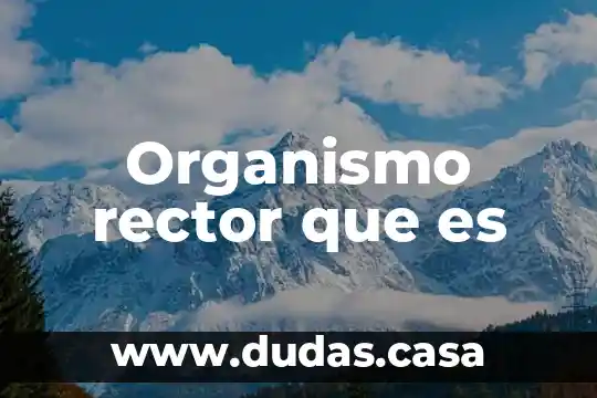 Organismo rector que es