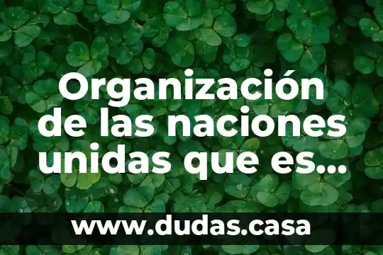 Que es el modelo de las naciones unidas 8 Organización de las naciones unidas que es la violencia