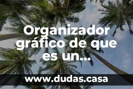 Organizador gráfico de que es un organizador gráfico