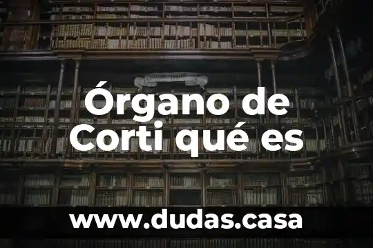 Órgano de Corti qué es