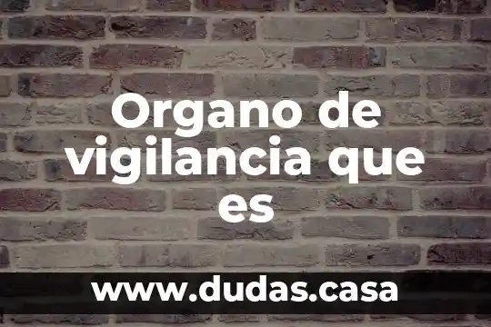 Organo de vigilancia que es