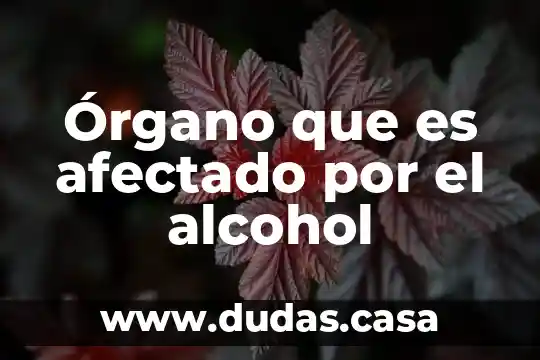 Órgano que es afectado por el alcohol