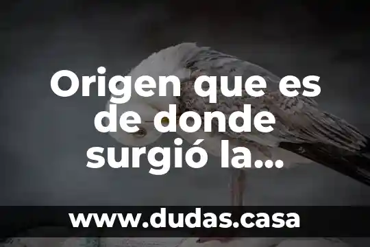 Origen que es de donde surgió la palabra metro