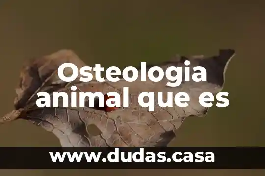 Osteologia animal que es
