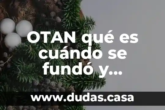OTAN qué es cuándo se fundó y objetivos