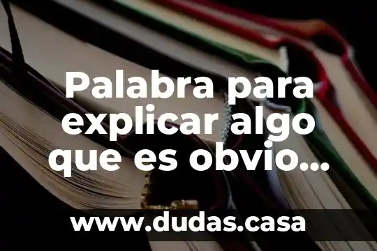 Palabra para explicar algo que es obvio pero importante