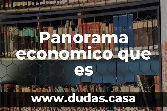 Panorama economico que es