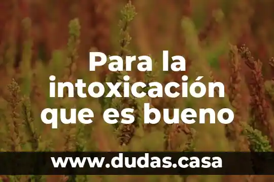 Para la intoxicación que es bueno