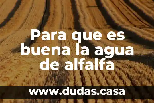 Para que es buena la agua de alfalfa