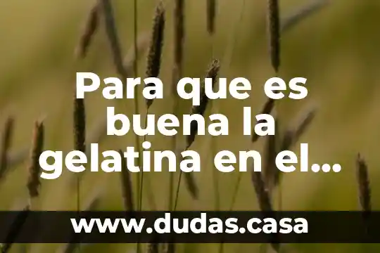 Para que es buena la gelatina en el embarazo