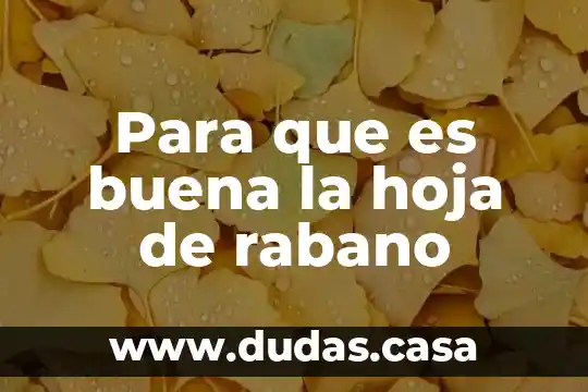 Para que es buena la hoja de rabano