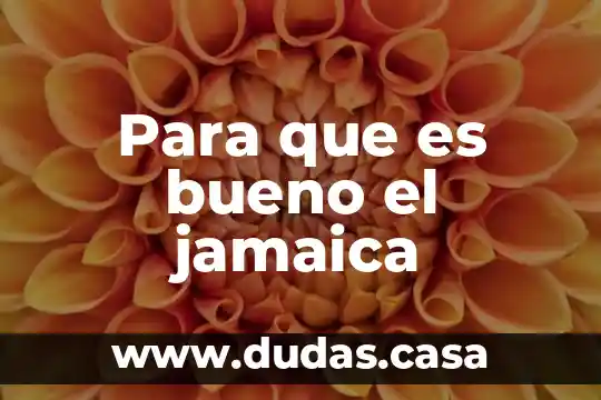 Para que es bueno el jamaica