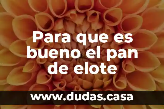 Para que es bueno el pan de elote