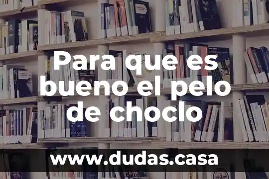 Para que es bueno el pelo de choclo