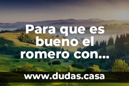 Para que es bueno el romero con alcohol